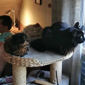 Gästewohnung Am Obstgarten Gräfrath